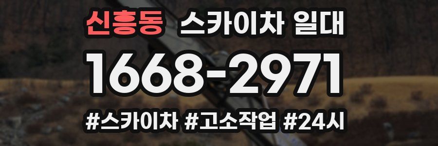 신흥동 스카이차 일대