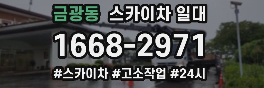 금광동 스카이차 일대