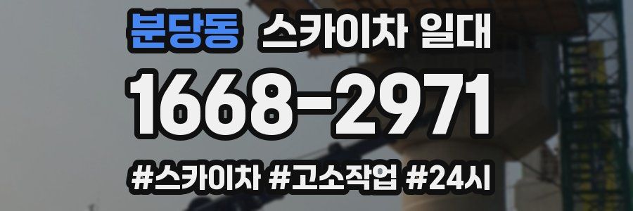 분당동 스카이차 일대
