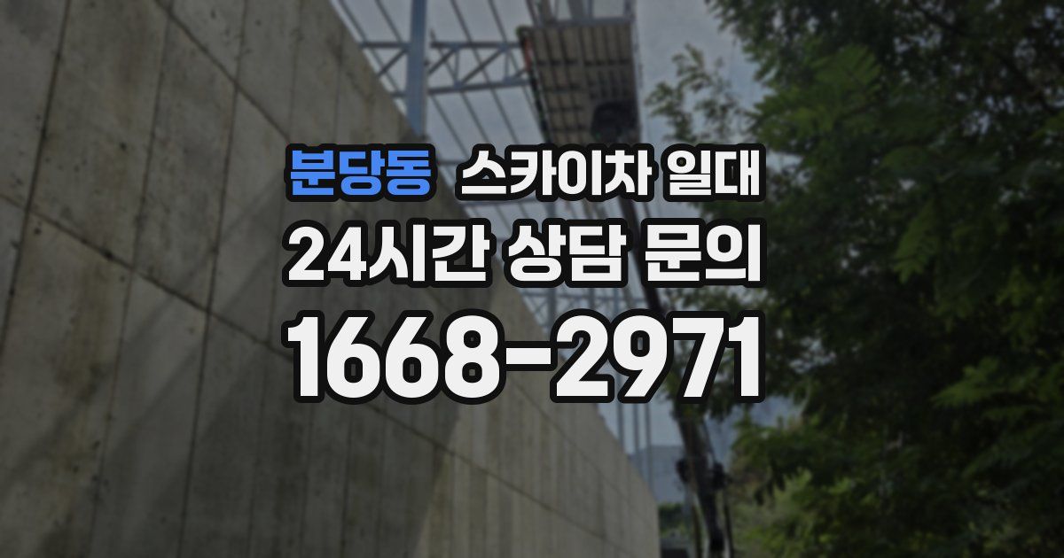 분당동 스카이차 일대