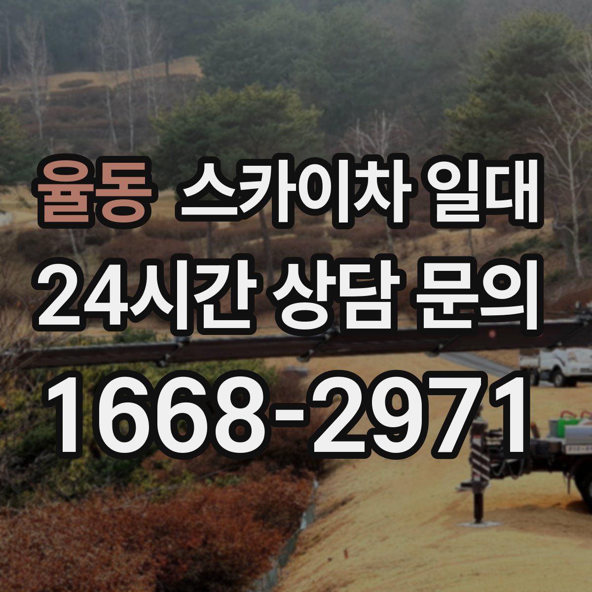 율동 스카이차 일대