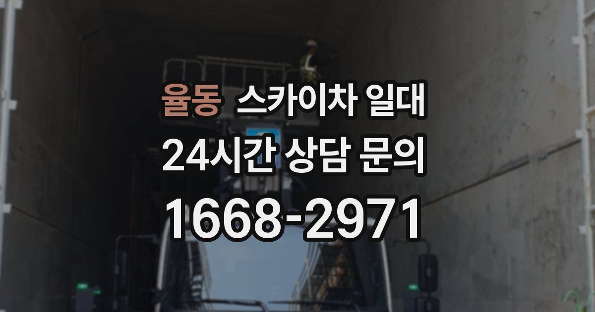 율동 스카이차 일대