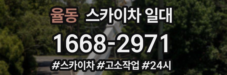 율동 스카이차 일대