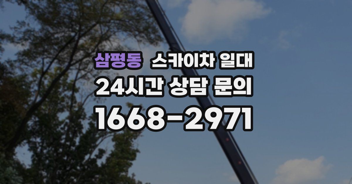 삼평동 스카이차 일대