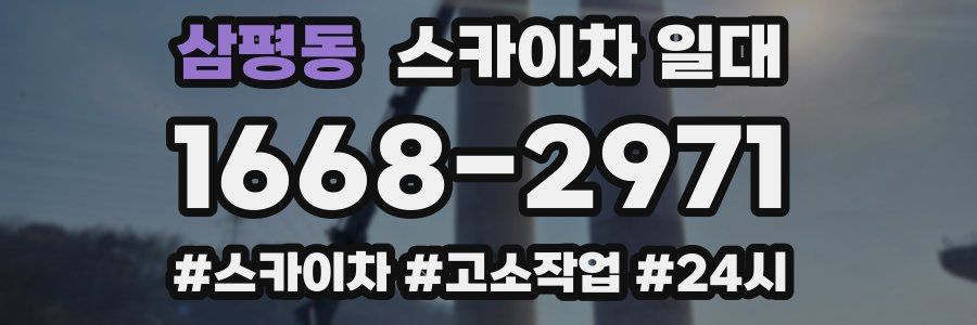 삼평동 스카이차 일대