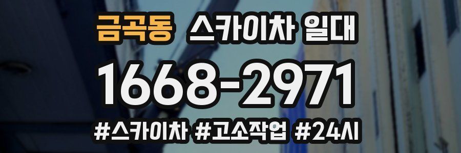 금곡동 스카이차 일대