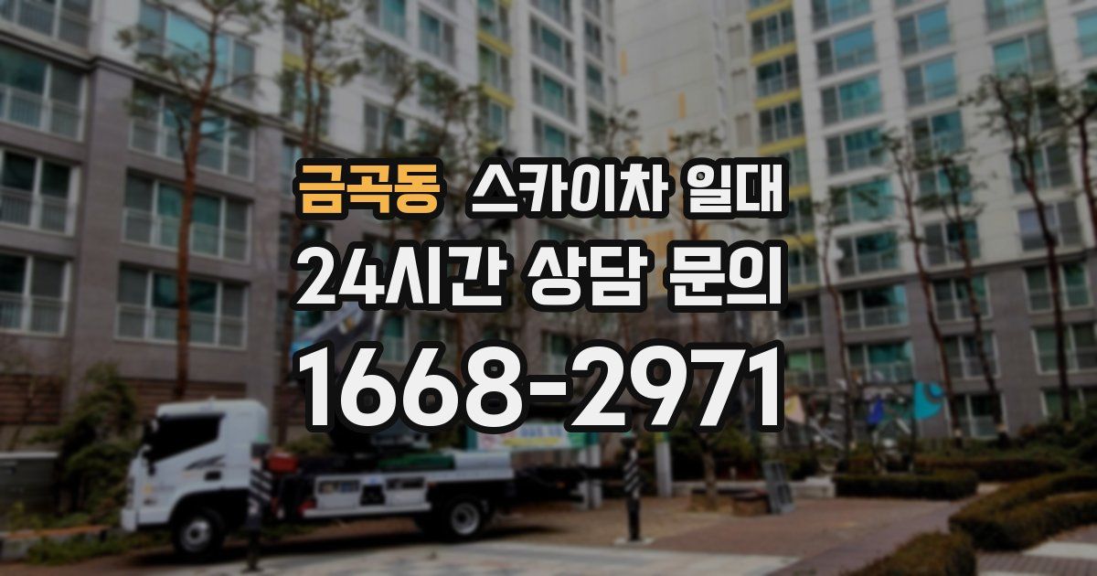 금곡동 스카이차 일대