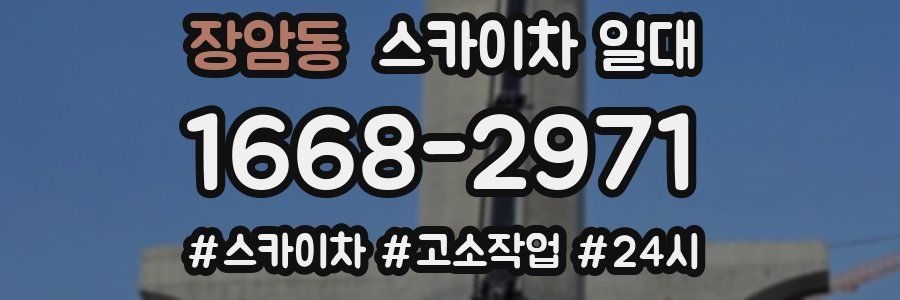 장암동 스카이차 일대