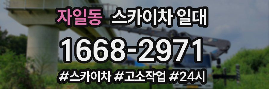 자일동 스카이차 일대
