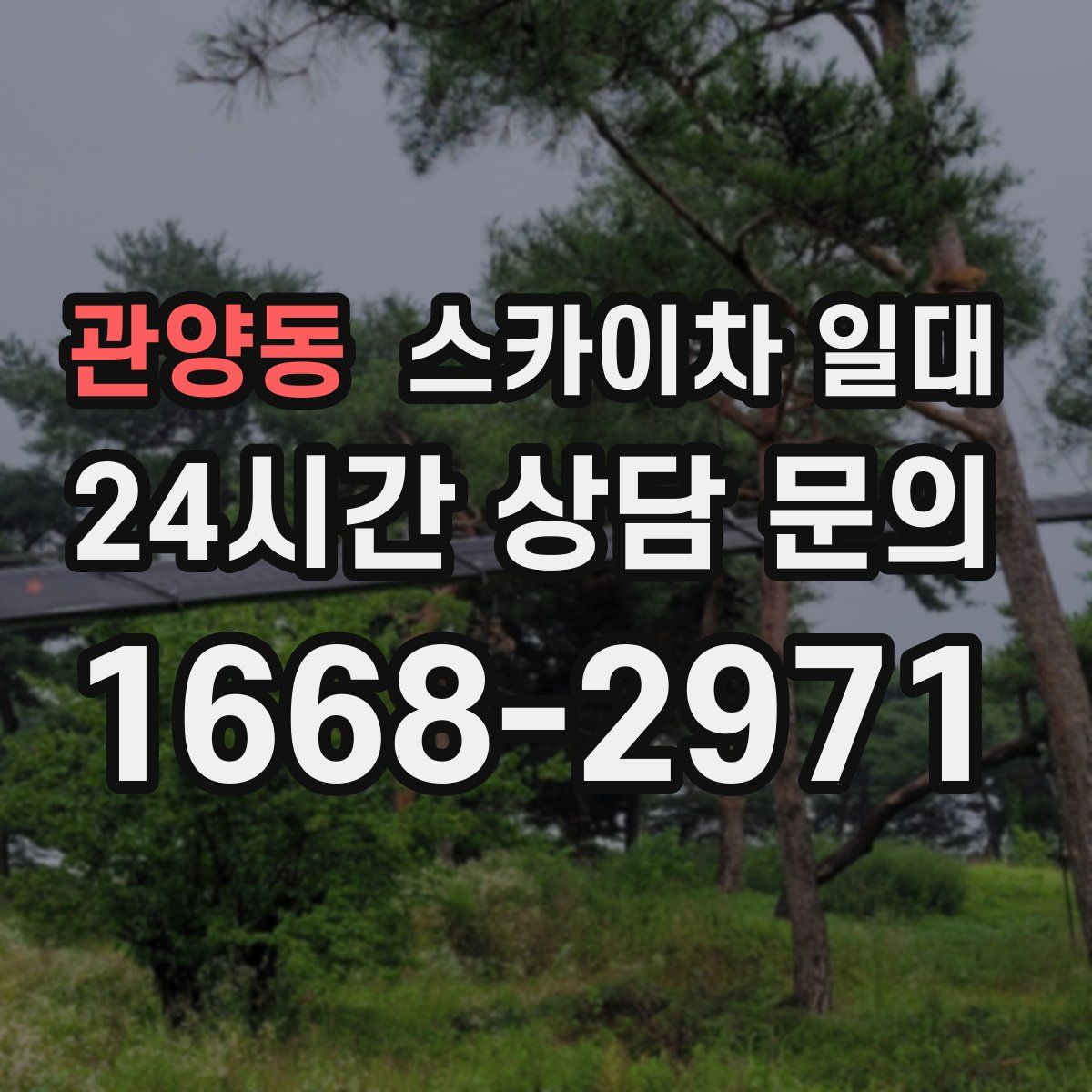관양동 스카이차 일대