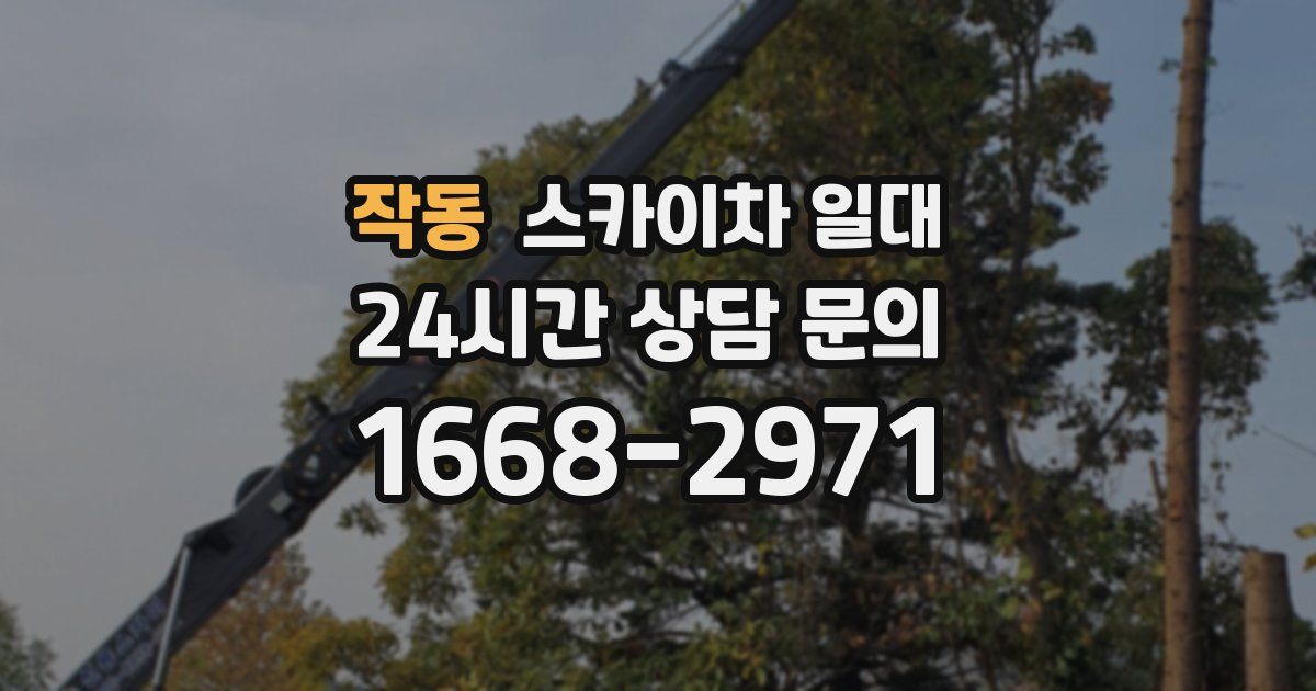 작동 스카이차 일대