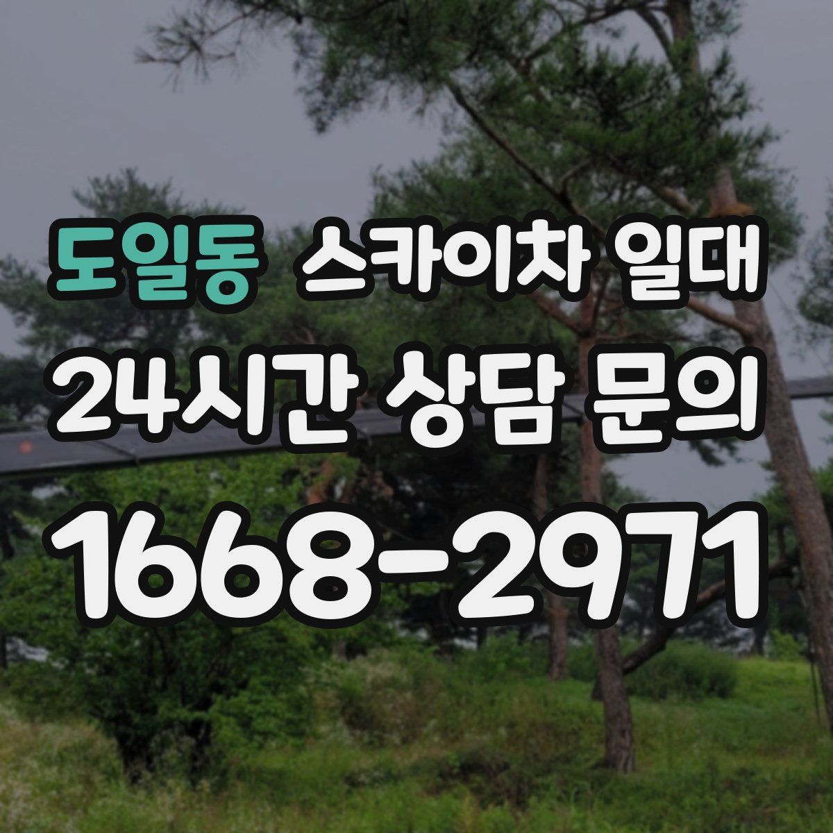 도일동 스카이차 일대
