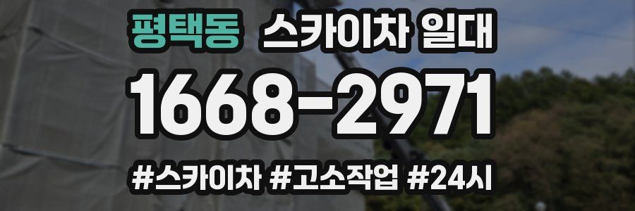 평택동 스카이차 일대