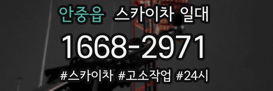 안중읍 스카이차 일대