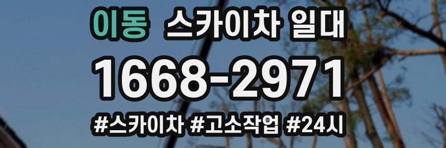 이동 스카이차 일대