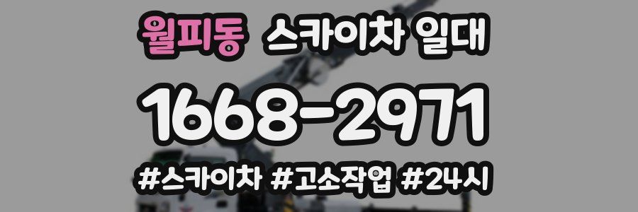 월피동 스카이차 일대