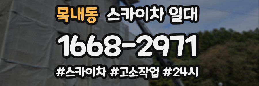 목내동 스카이차 일대