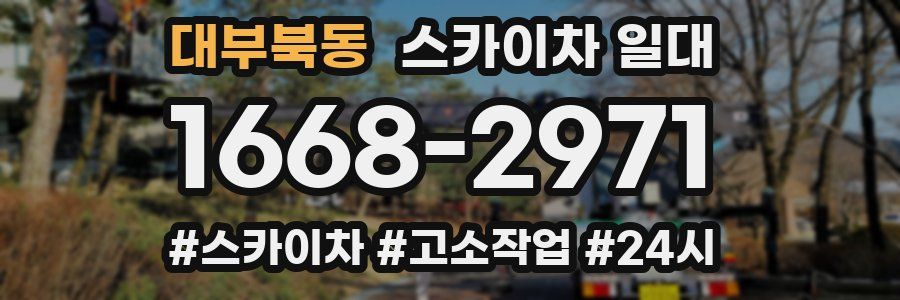 대부북동 스카이차 일대