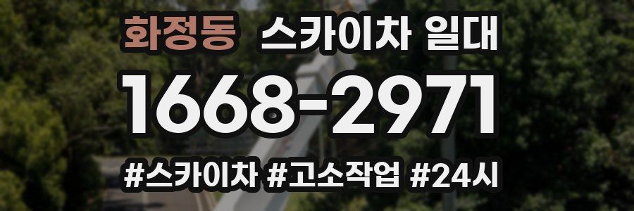 화정동 스카이차 일대