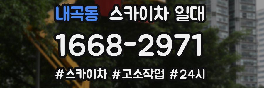 내곡동 스카이차 일대