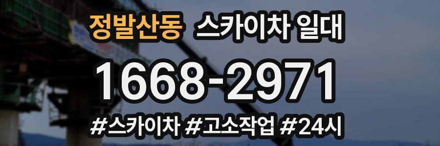 정발산동 스카이차 일대