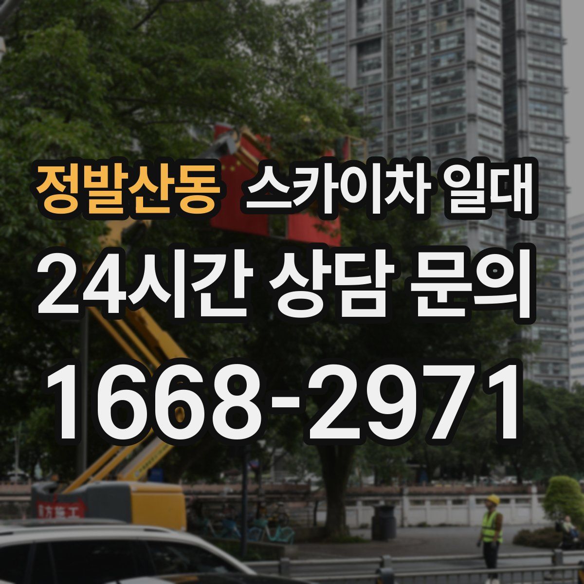 정발산동 스카이차 일대