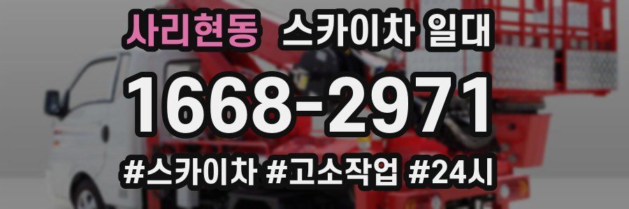사리현동 스카이차 일대
