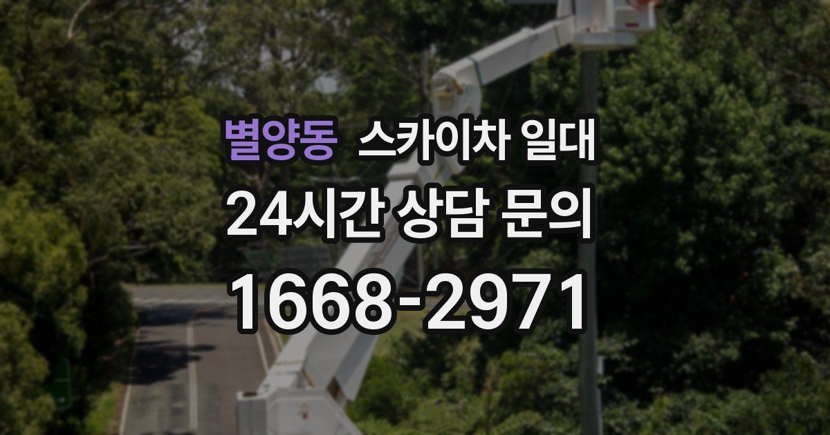 별양동 스카이차 일대
