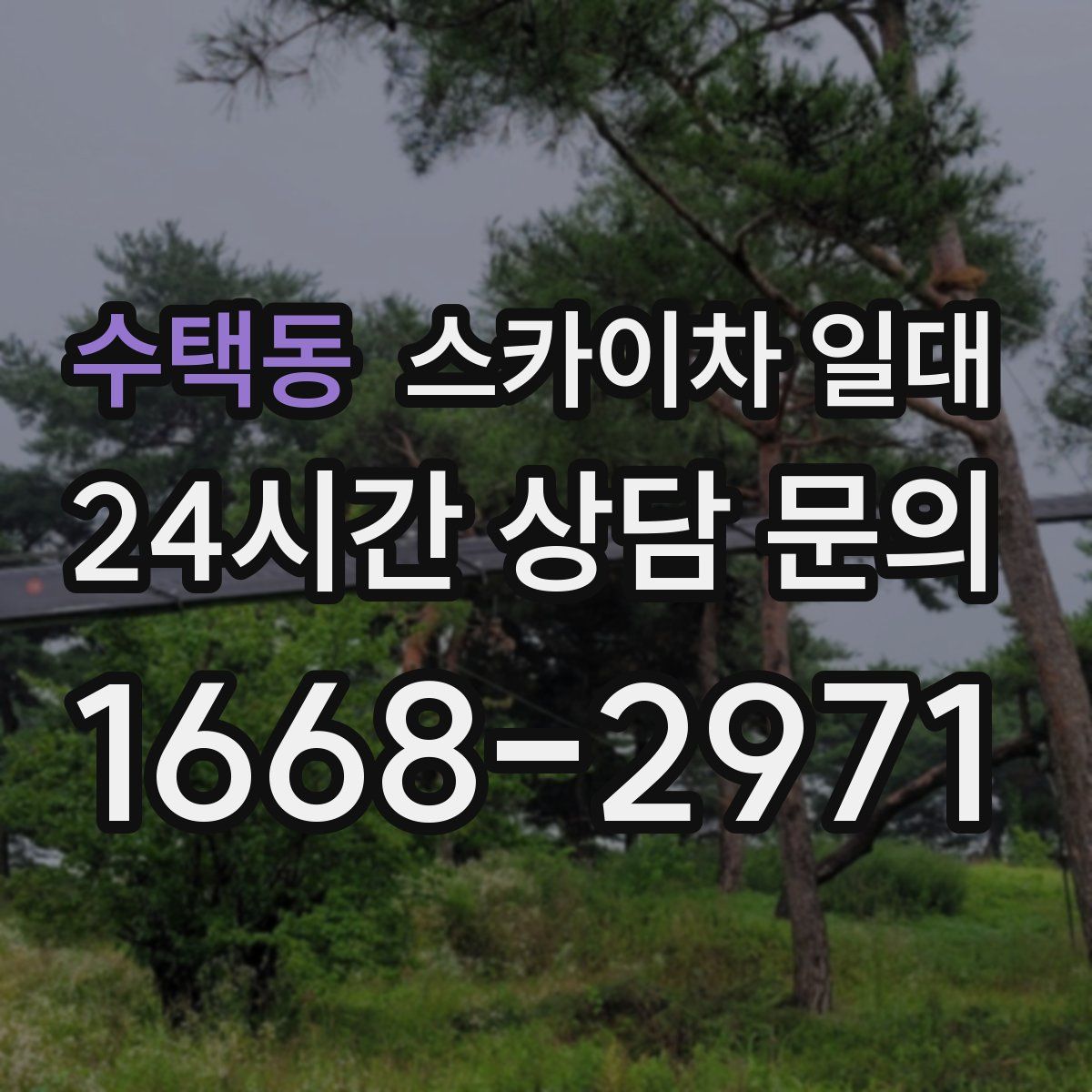수택동 스카이차 일대