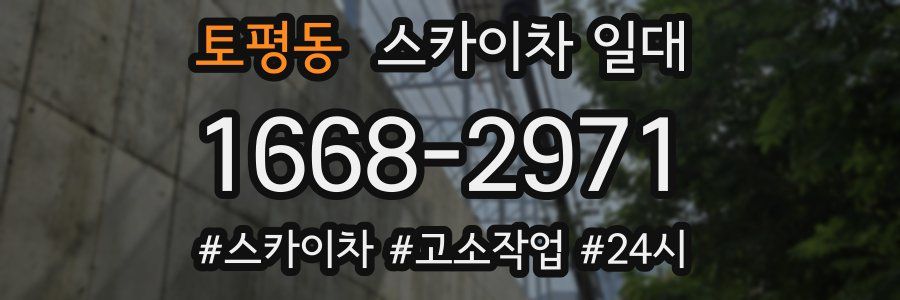 토평동 스카이차 일대