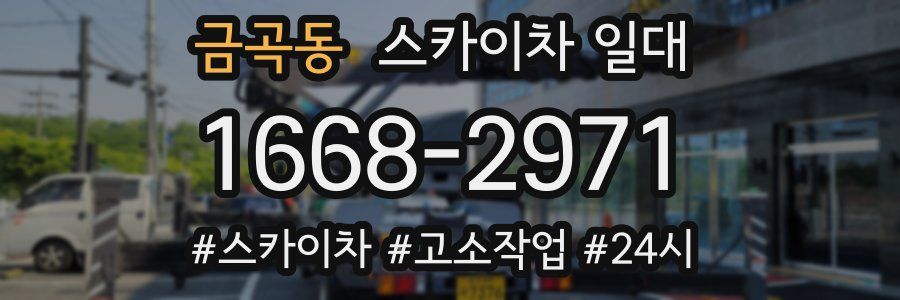 금곡동 스카이차 일대