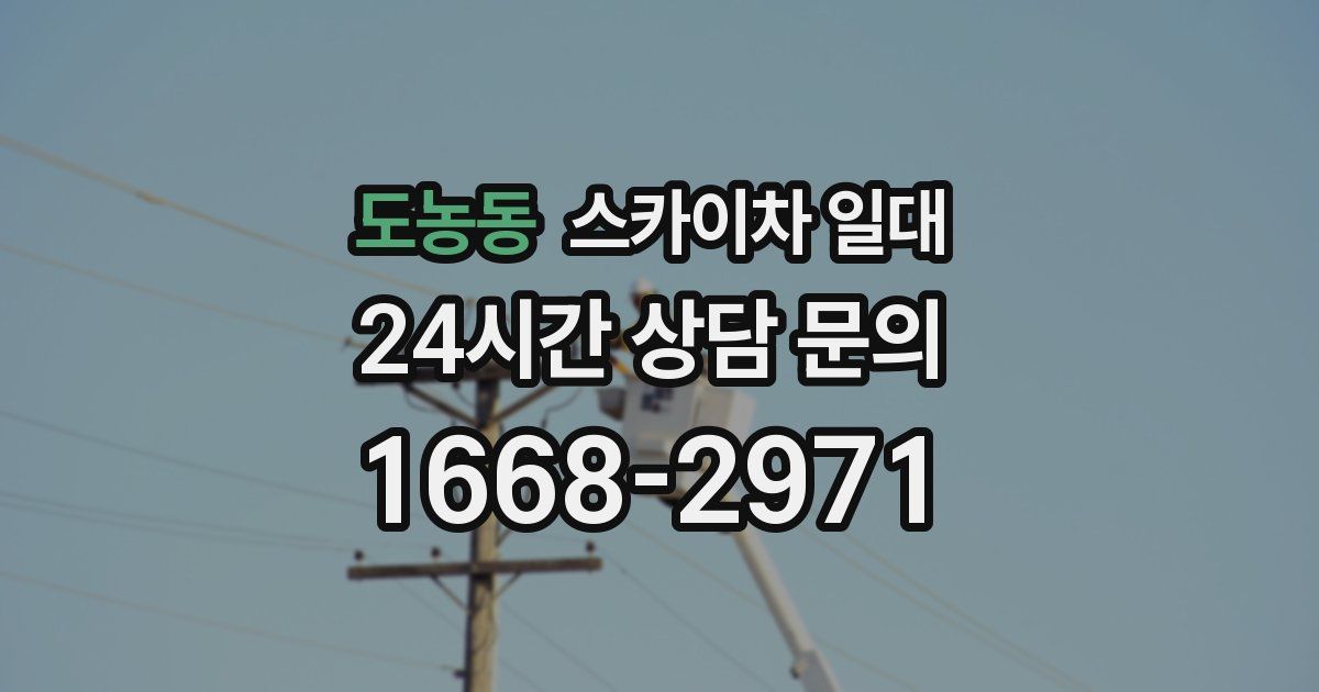 도농동 스카이차 일대