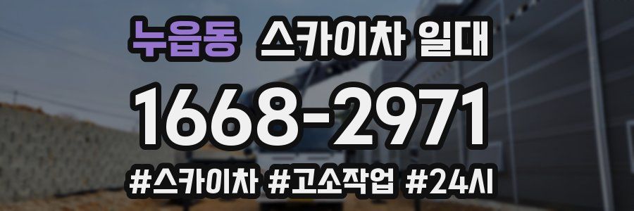 누읍동 스카이차 일대