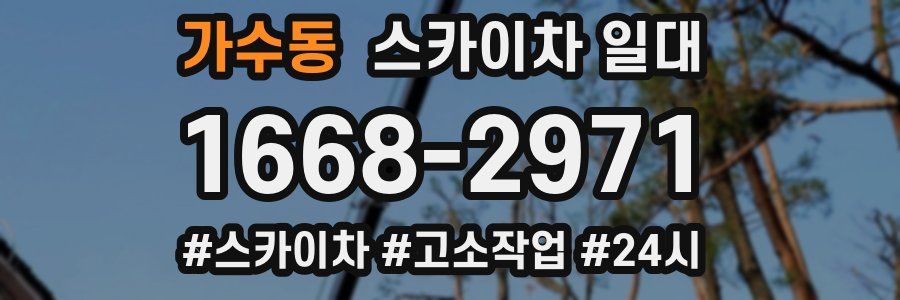 가수동 스카이차 일대