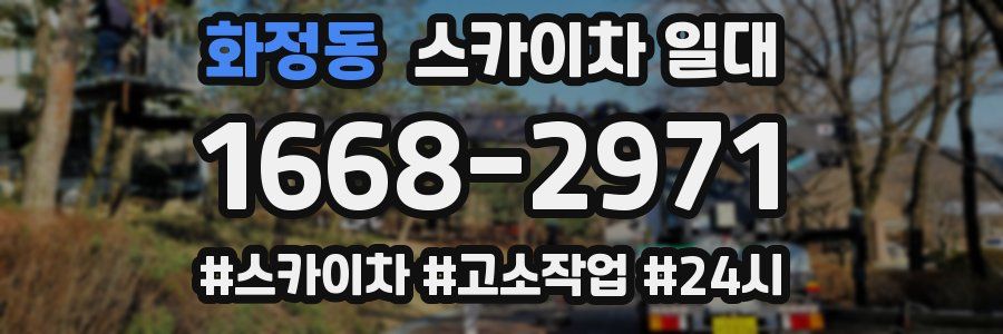 화정동 스카이차 일대