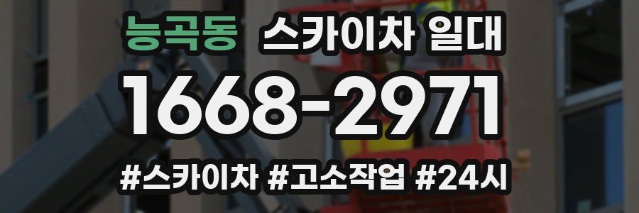 능곡동 스카이차 일대
