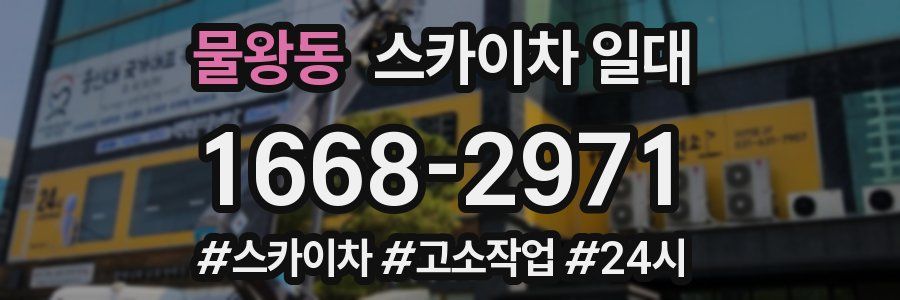 물왕동 스카이차 일대