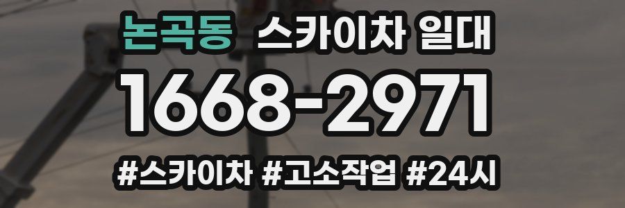 논곡동 스카이차 일대