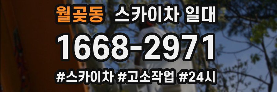 월곶동 스카이차 일대