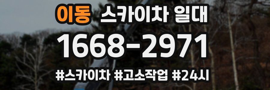 이동 스카이차 일대