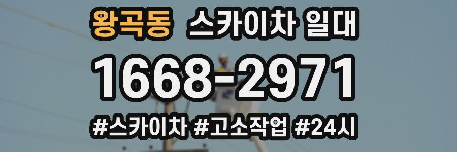 왕곡동 스카이차 일대