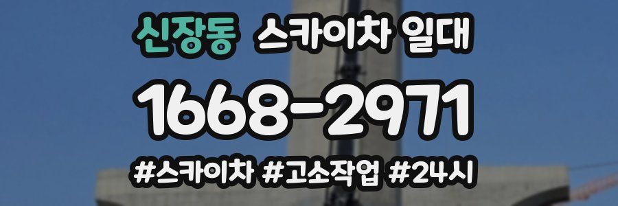 신장동 스카이차 일대