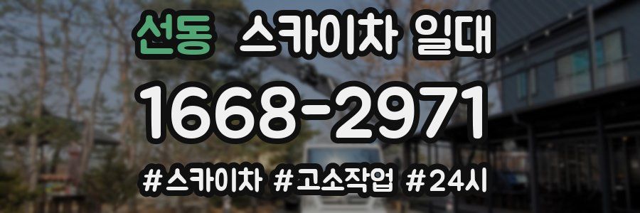 선동 스카이차 일대