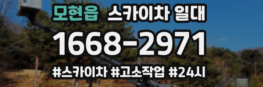 모현읍 스카이차 일대