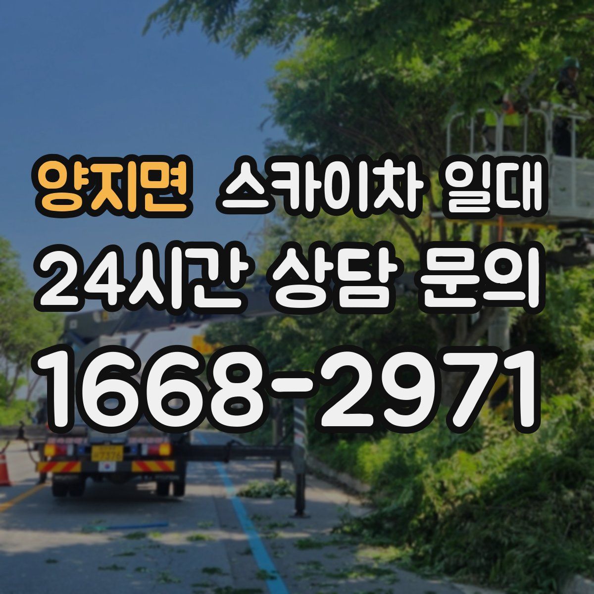 양지면 스카이차 일대