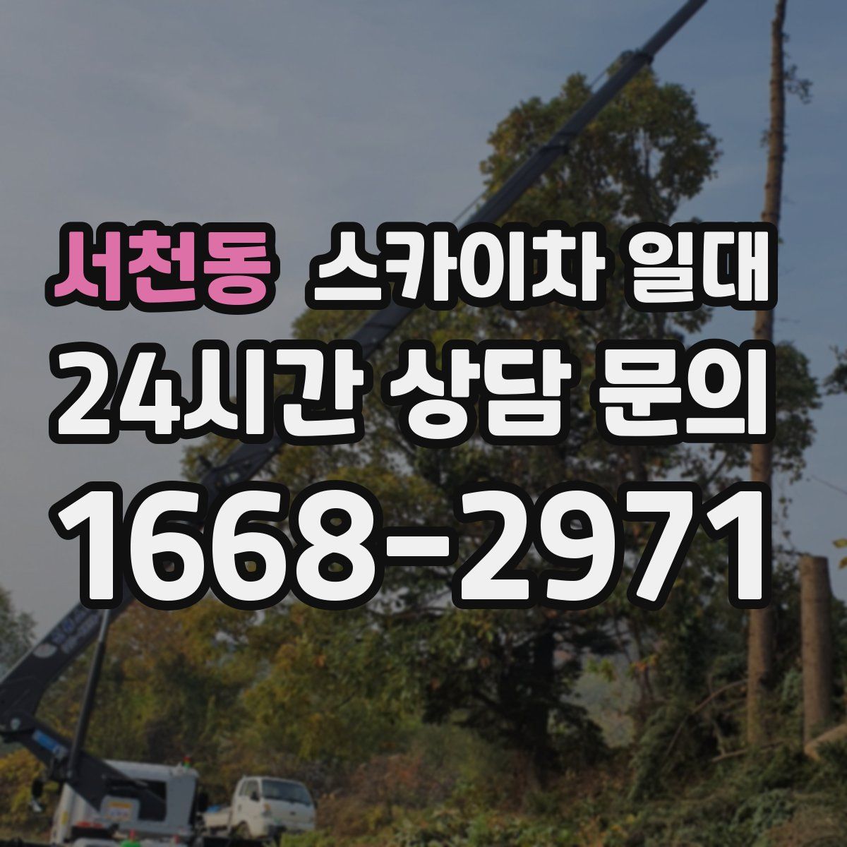 서천동 스카이차 일대