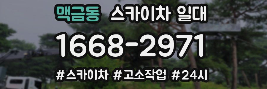 맥금동 스카이차 일대