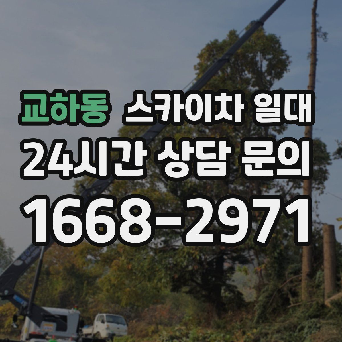 교하동 스카이차 일대