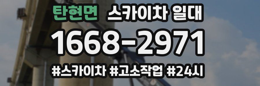 탄현면 스카이차 일대
