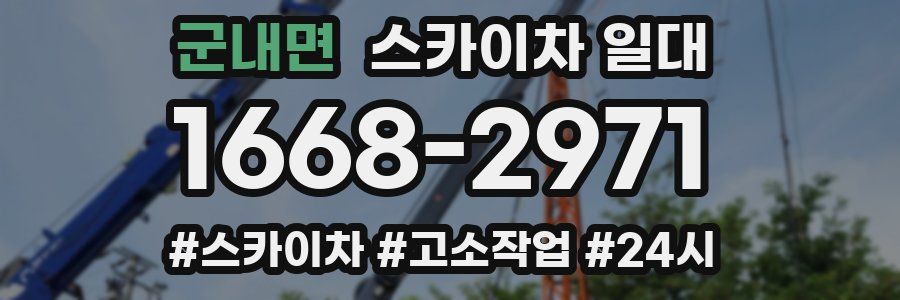 군내면 스카이차 일대